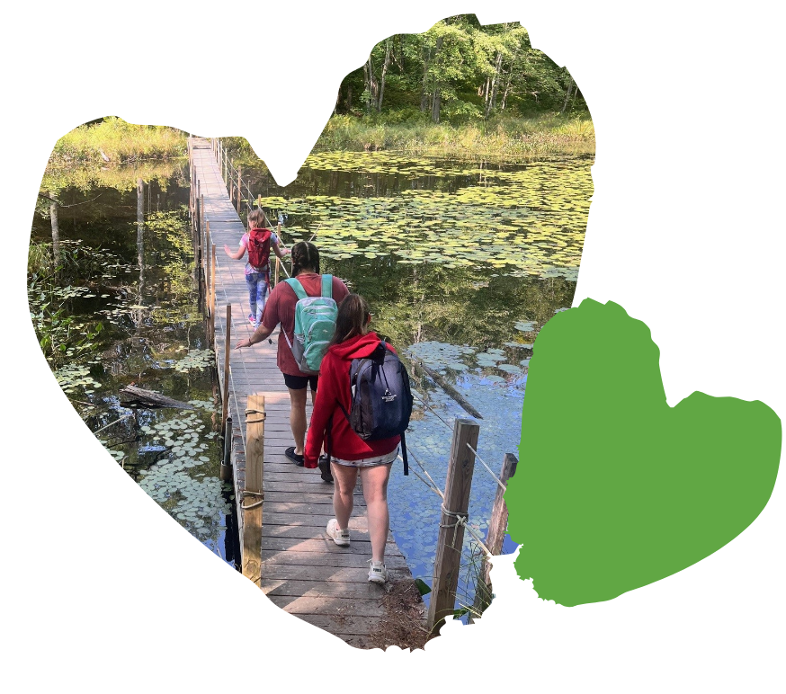 People walking on a narrow wooden bridge over water with lily pads, surrounded by greenery.